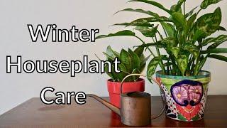 Key Points For Winter Houseplant Care / Joy Us Garden