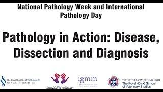 Pathology in Action: Disease, Dissection and Diagnosis