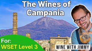 The Complete Guide to Campania's Wines for WSET Level 3