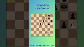 Не цугцванг, а цугцвангище! #shorts #шахматы