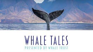 Whale Tales 2024 Program