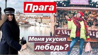 Прага // Что посмотреть за ОДИН день? ШОК! Меня укусил ЛЕБЕДЬ