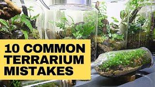 Closed terrarium mistakes and how to avoid them