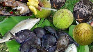 Roast Breadfruit and Doctor fish Jamaica