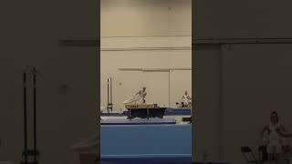 Mitchell Wells Idaho State Championships Pommel Horse March 22nd 2024