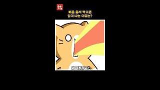 매운 음식 먹으면 왜 땀이 날까? 과학적으로 알려드립니다! #60초상식
