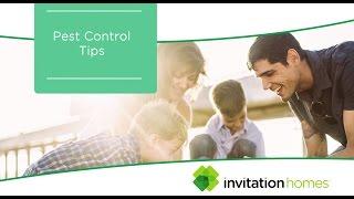 Pest Control Tips