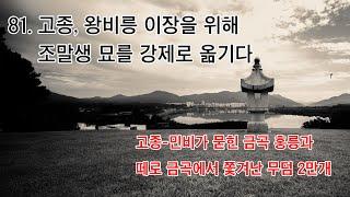 [박종인의 땅의 역사] 81. 고종, 민비릉 이장을 위해 무덤 2만 기를 강제로 이장시키다 - 금곡 홍릉과 수석동 조말생 묘의 비밀