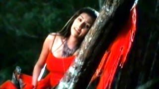 Nuvve Naa Swasa Video Song || Okariki Okaru Movie || Sri Ram, Aarti Chhabria