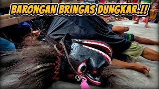 BARONGAN BRINGAS DUNGKAR‼️ EBEG NGESTI TURONGGO JATI