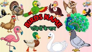 Birds Name For Kids  | Birds Name in English and Hindi | हिंदी में पक्षियों के नाम #birds