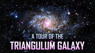 A Tour of the Triangulum Galaxy [4K]