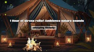 Nature ambience sounds•in a cozy night        ‎@SleepingMelody