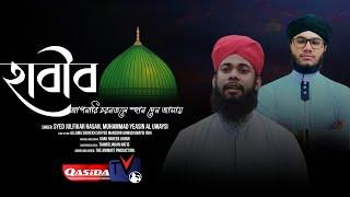 নাবী আপনারি চরনতলে | Nabi Apnari Chorontole | Qasida Tv | New Islamic Song 2021|  Neda e Islam