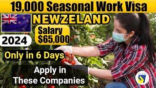 New Zealand Work Visa | Seasonal Work Visa cost 350 $| Jobs in New Zealand | New Zealand visa