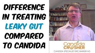 What Is The Difference In Treating Leaky Gut Compared To Treating Candida? | Ask Eric Bakker