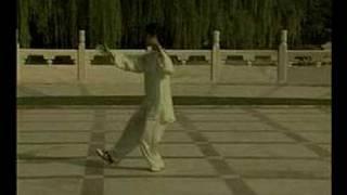 Wu(Hao) Competiton Taijiquan Form