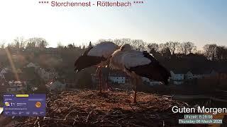 2025 03 06 Storchennest Röttenbach, schönen guten Morgen ️️️ Rötti's lassen grüßen  1°C