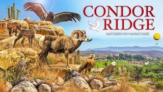 Zoo Tours: Condor Ridge | San Diego Zoo Safari Park