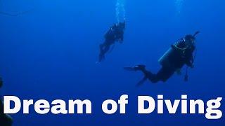 Dream of Diving