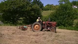 David Brown 950 + 995 and Lamborghini 874-90