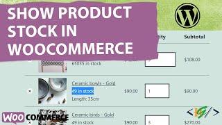 How to Show Product Stock in WooCommerce Cart in WordPress