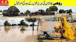 Rohi Cholistan Tour Part 1 || Enjoy full after the rain || Desert view after rain || KB cholistan tv