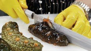 Korean Street Food - SEA CUCUMBER Seafood Korea