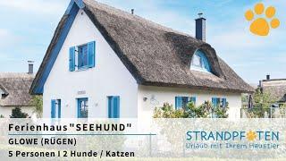 Ferienhaus mit Hund + Katze auf Rügen I Ostsee I Ferienhaus „Seehund“ I STRANDPFOTEN