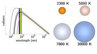 The black body spectrum of a star