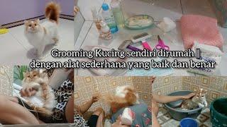 Grooming kucing sendiri dirumah || Step by step dengan alat sederhana yg baik dan benar