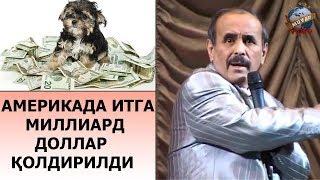 Hojiboy Tojiboyev - Amerikada itga milliard dollar qoldirildi