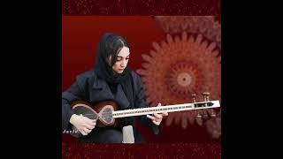 هنرنمایی دختر هنرمند ایران، الهه میراحمدی | Persian Women Music | #موسیقی #persianmusic #تار