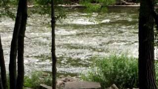 Spring Park Near Osage