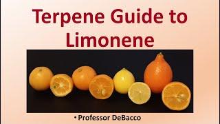 Terpene Guide to Limonene