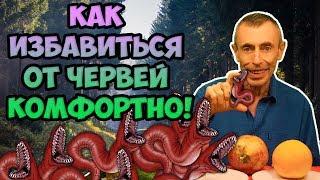 КАК ИЗБАВИТЬСЯ ОТ ЧЕРВЕЙ КОМФОРТНЫМ МЕТОДОМ! Фильм- 1. Виталий Островский  Паразиты, глисты