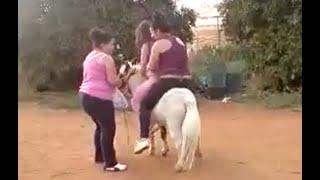 Double fun with a pony