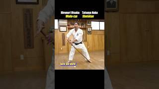 Why punch diagonally? [Wado-ryu Karate]