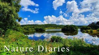 Exploring England's LARGEST FOREST! [Kielder] - Nature Diaries