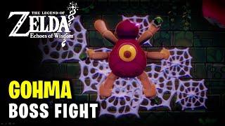 Gohma Boss Fight Guide | Faron Temple | Legend of Zelda Echoes of Wisdom