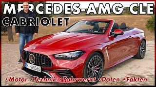 Mercedes-AMG CLE 53 Cabriolet - Wunderschön und stark aber auch gut? Test Review Daten Deutsch 2024