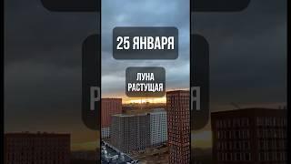 25 января. Лунный календарь. Растущая луна. #лунный #календарь #лунныйкалендарь