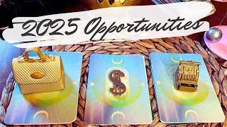 Golden Opportunities in 2025  pick a card reading + pendulum & charms!