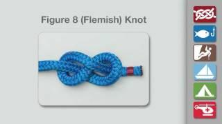 How to Tie a Figure 8 Knot