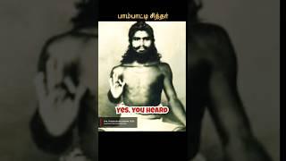 Siva Prabhakara Siddha Yogi | English | Kundalini yoga | History | Pambatti Siddhar | Meditation