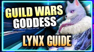 LYNX GUIDE GvG Showcase! Amazing Guild Wars Hero ⁂ Watcher of Realms