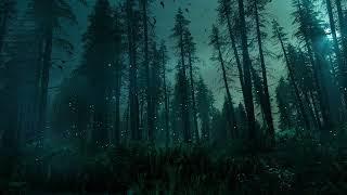HALLOWEEN Scary haunted forest atmosphere BATS WOLVES OWLS FROGS & SPOOKY NOISES projector & party