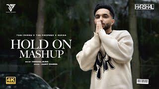 Hold On Mashup | Harshal Music | Mere Dill Nu X O Sajna X Tere Bina X Mang | Punjabi Love Mashup