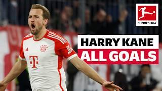 Harry Kane - 20 Goals In Just 14 Games!