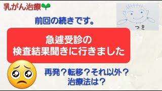 【乳がん日記32】前回の続き検査結果を聞きに行ってきました！